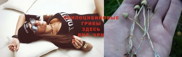 винт Краснослободск