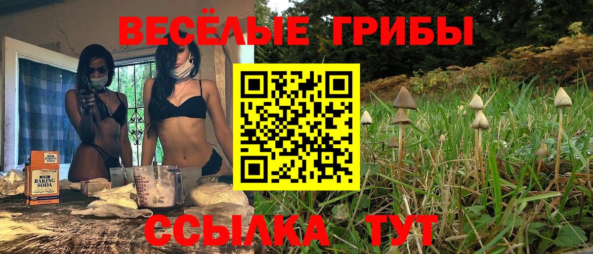 Лесозаводск  купить наркотик  Вход с VPN  Псилоцибиновые грибы ЛСД 